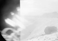 a black and white photo of a person in the snow